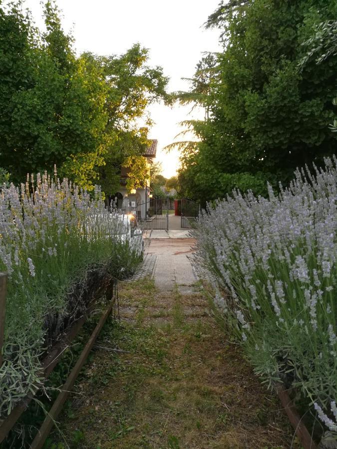 Falco Bianco San Daniele del Friuli Esterno foto