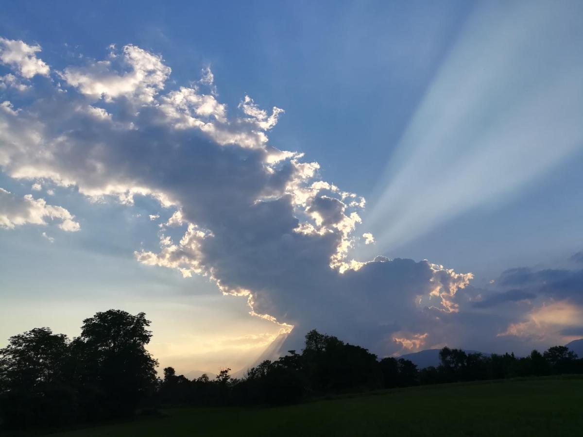 Falco Bianco San Daniele del Friuli Esterno foto